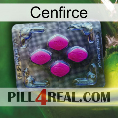 Cenfirce 02